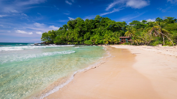 Red Frog Beach On Bocas Del Toro Panama