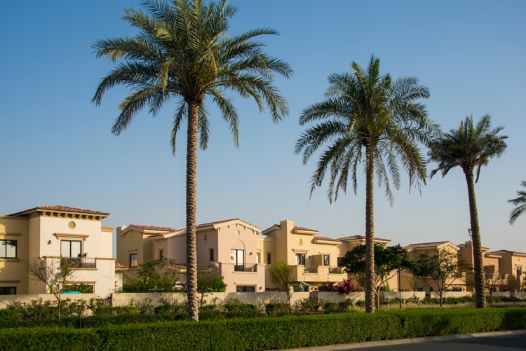 palm trees over Gated Communities