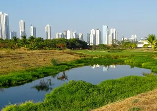 Costa Del Este Avenida Balboa one of the five top Markets In Panama