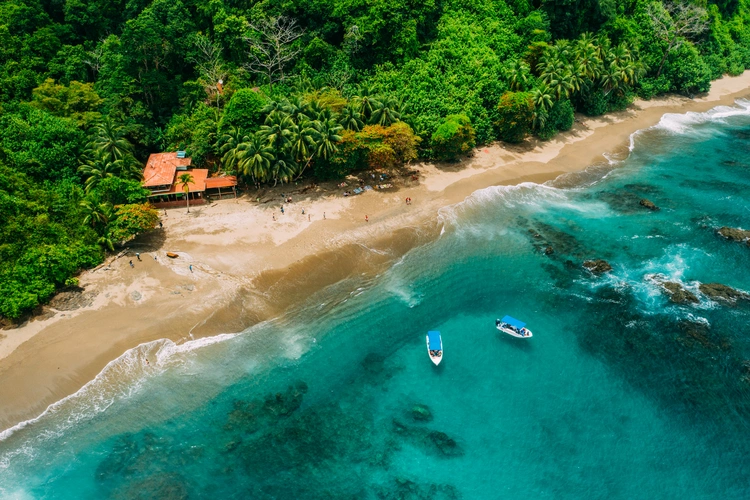 Aerial Drone View of a tropical island with lush jungle in Costa Rica, Isla del Caño