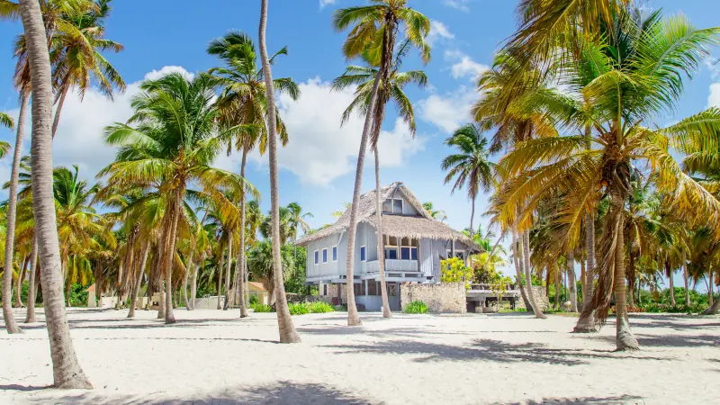 Bungalow in the Tropics. Beautiful beach house in a tropical garden