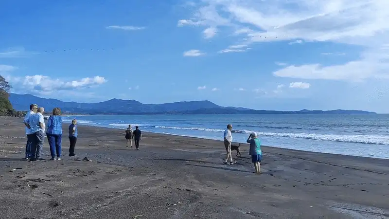A wide beach scene at Los Islotes, with several people walking and standing along a dark sandy shoreline.