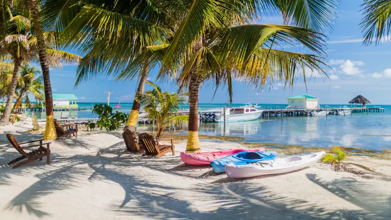 House for sale in Belize under $250k -Palms and beach at Caye Caulker island, Belize