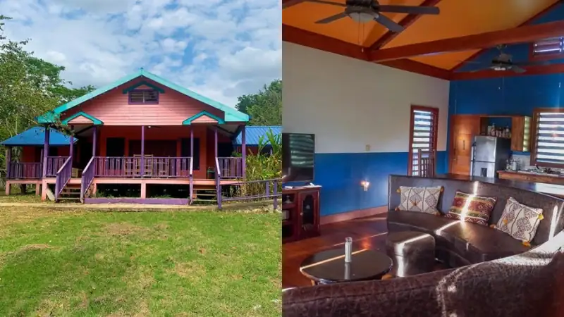 tropical house shown from the outside alongside a cozy interior view