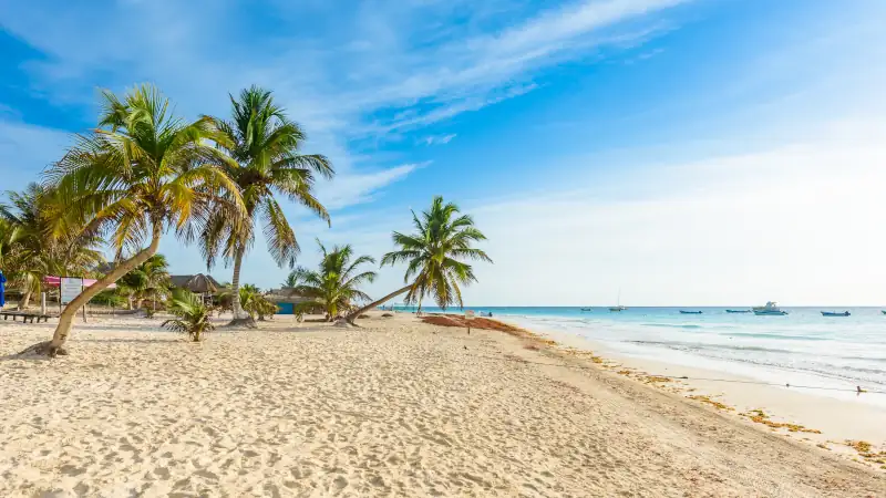 Paradise Beach also called Playa Paraiso at Tulum - sunrise at beautiful and tropical caribbean coast of Tulum in Quintana Roo, Riviera Maya, Mexico