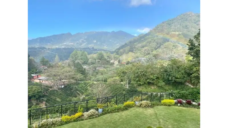 Boquete is surrounded by rolling green, vibrant flowers, and dramatic mountain scenery