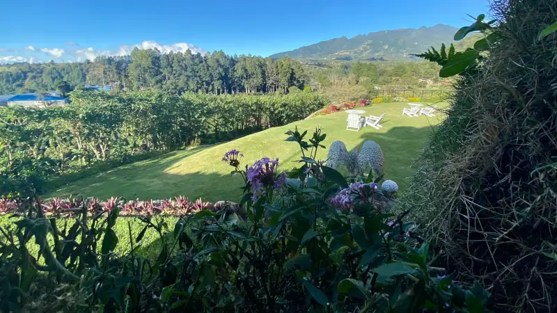 A serene mountain landscape featuring a manicured garden, colorful flowers, and white outdoor chairs overlooking a forested valley beneath a bright blue sky.