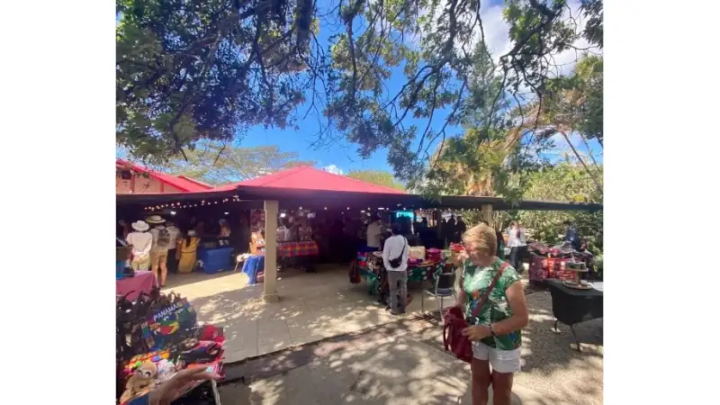 An open-air artisan market shaded by large trees, with colorful vendor stalls, shoppers browsing local goods, and a relaxed tropical atmosphere.