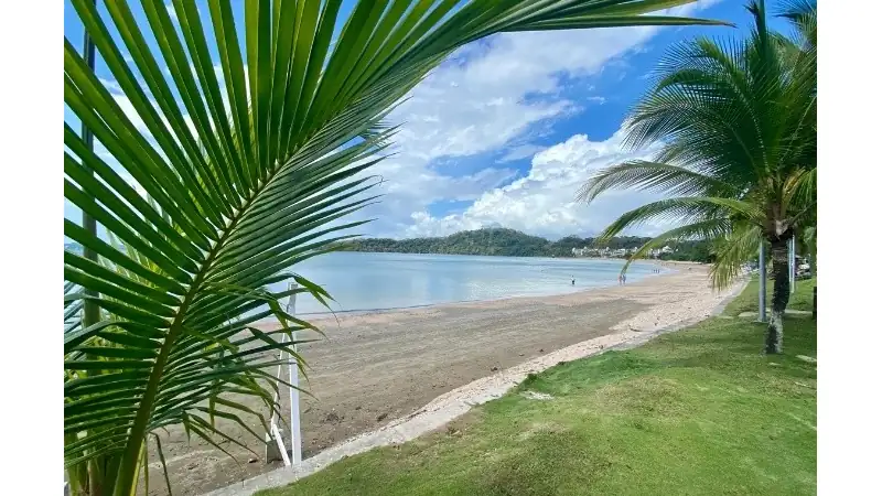 A tranquil sandy beach with calm blue water, lush palm trees, and green hills under a bright, partly cloudy sky in Panama City, Panama.